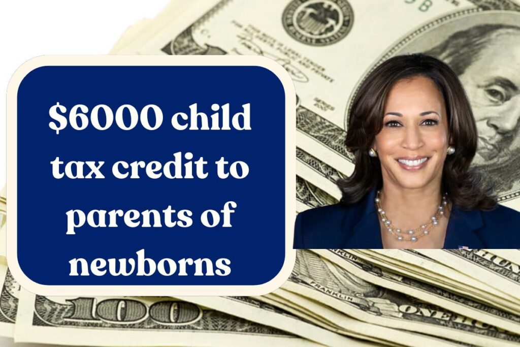 $6000 child tax credit to parents of newborns