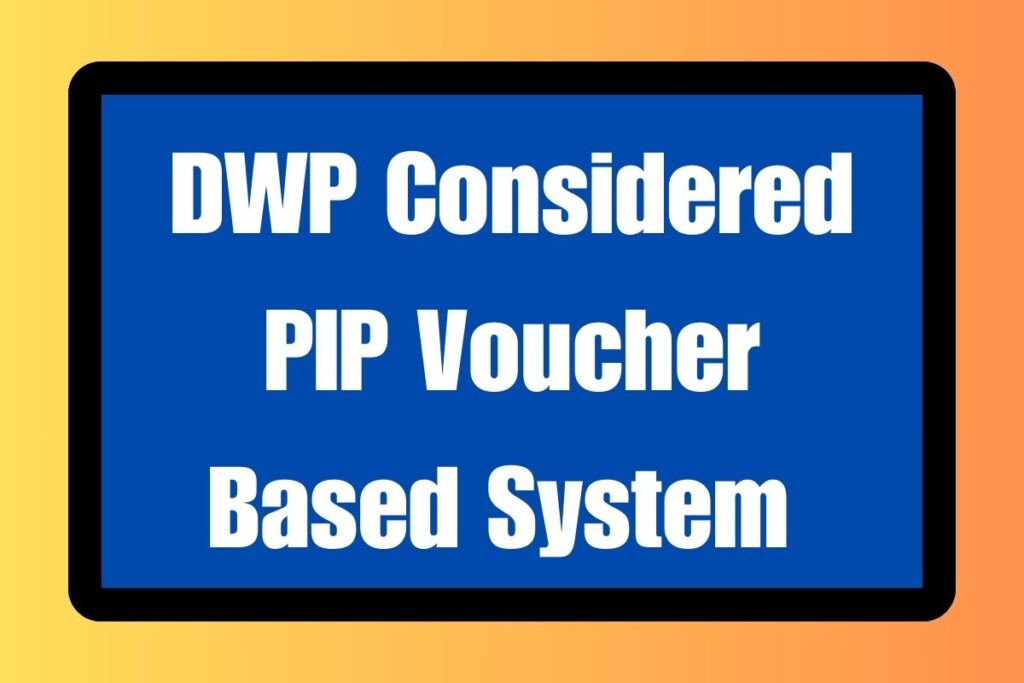 DWP Considered PIP Voucher Based System 