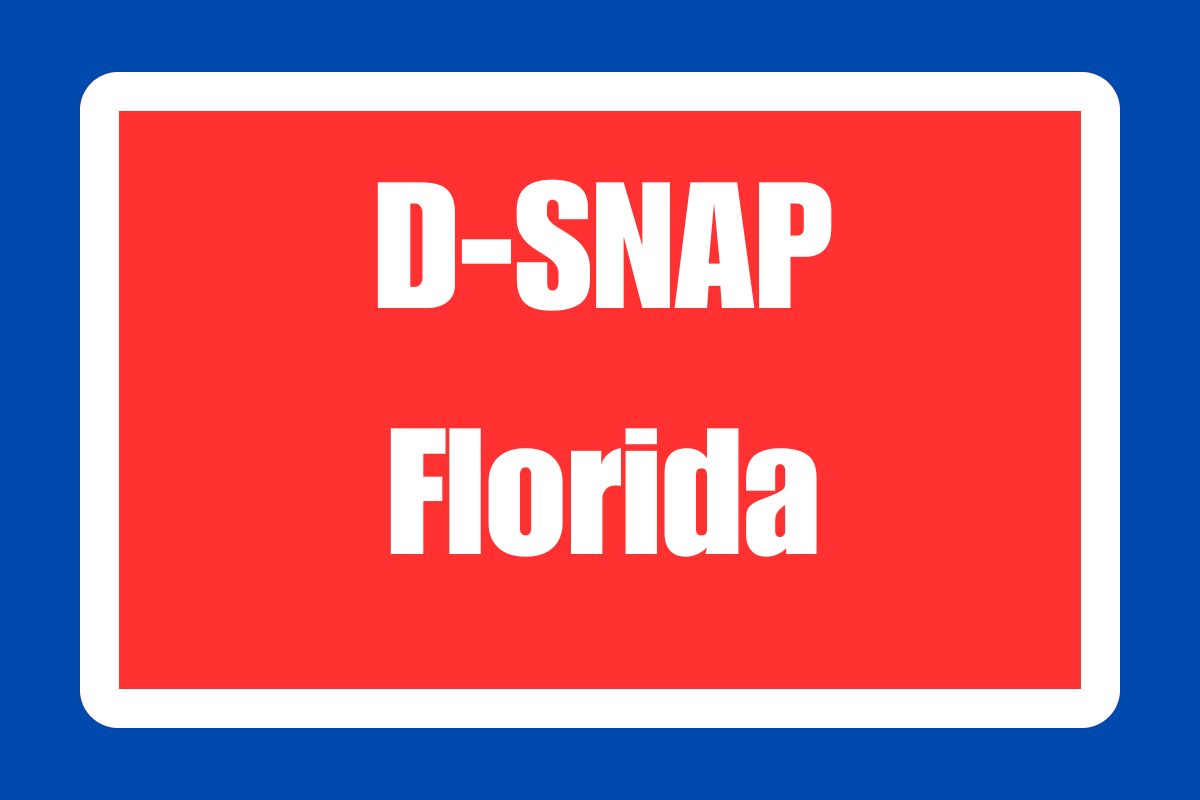 DSNAP Florida How much can you get in Florida in disaster food stamps?