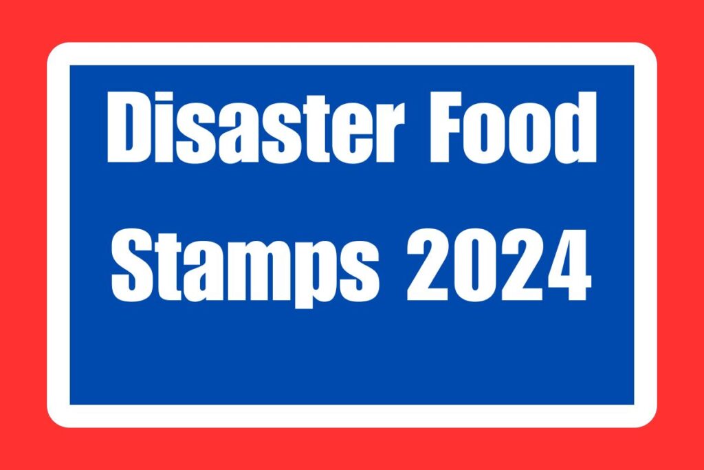 Disaster Food Stamps 2024