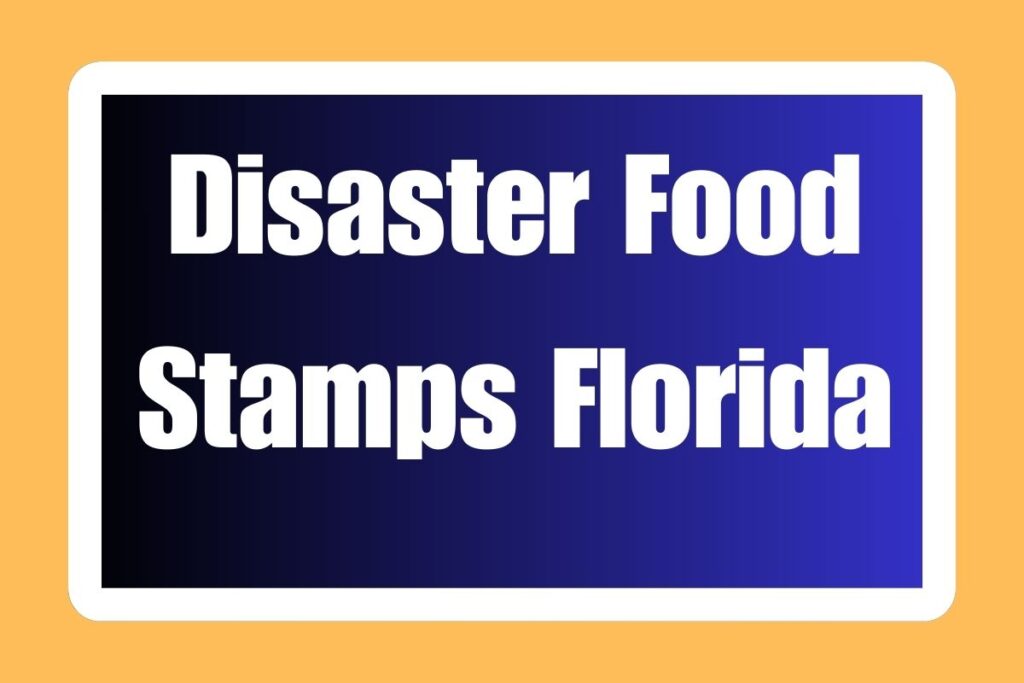 Disaster Food Stamps Florida