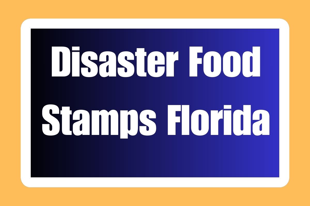 Disaster Food Stamps Florida Do You Qualify for DSNAP?